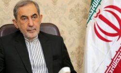 دیدار وزیر علوم طالبان با ولایتی