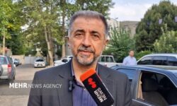 رامین: مجلس با کاهش بودجه نهادهای فرهنگی همراه نخواهد بود
