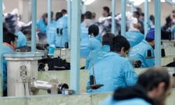 راه‌اندازی دو سامانه «کارآفرینی زندان‌ها» و «اقدامات حمایتی»