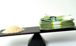 راه‌حل کنترل قیمت برنج صرفاً تخصیص یا حذف ارز ترجیحی نیست