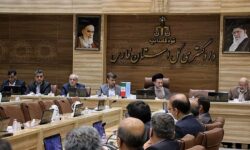 رجایی‌نسب: هم‌افزایی دستگاه‌ها شرط رفع موانع تولید است