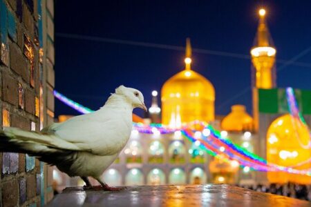 روایت شیخ حسین انصاریان از تواضع وصف ناشدنی حضرت امام رضا(ع)