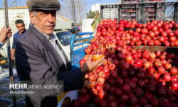 سفره های کوچک در بلندترین شب سال؛ روایتی ازبازار شب چله قم