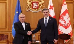 سفیر ایران در پایان ماموریت خود با رئیس‌جمهور گرجستان دیدار کرد