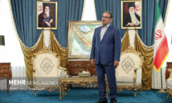 شمخانی: ادعاهای شورای همکاری خلیج فارس در مورد میدان آرش غیرسازنده است