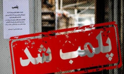 شناسایی و پلمب کشتارگاه‌های غیرمجاز در تبریز؛ تهدید جان بازرسان با بیل