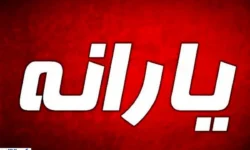 شوک بزرگ به قدرت خرید؛ کالابرگ و یارانه خرد کافی نیست