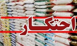 صبح زاهدی: بیش از ۹ تن برنج احتکاری در لنگرود کشف شد