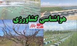 ضرورت انتقال محصولات کشاورزی برداشت شده به مکان‌های مسقف