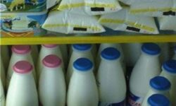 طلبکاری تازه صنایع لبنی از دولت بعد از موج گرانی