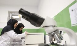 ظرفیت پذیرش ۲ هزار نفری در دکتری تخصصی رشته‌های علوم پزشکی سال ۱۴۰۴