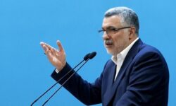 ظفرقندی: مددکاری اجتماعی ترکیبی از علم، هنر و تعهد انسانی است