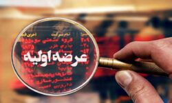 عرضه اولیه اروند در راه بازار سهام / جزئیات و میزان نقدینگی مورد نیاز اروند