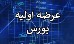 عرضه اولیه غول بزرگ پتروشیمی در بورس/ زمان و جزئیات عرضه اعلام شد