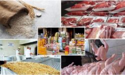 فهرست جدید کالاهای مشمول استاندارد اجباری ابلاغ شد