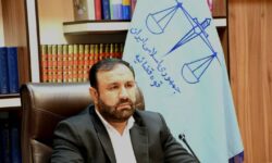 قطعات وارداتی خودروهای ناقص با دستور قضائی ترخیص شد
