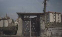 مستندی از «عکاسخانه» پدربزرگ؛ بدون حمایت فرصت تجربه‌گرایی ازدست می‌رود