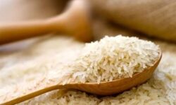 مصوبه ستاد تنظیم بازار برای توزیع مویرگی برنج تایلندی و پاکستانی