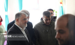 معاون اجرایی رئیس‌جمهور و استاندار تهران وارد پردیس شدند