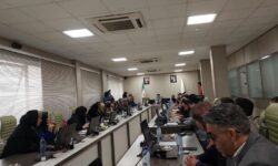 مقوا در بن‌بست ارزی| ثبت‌سفارش کنسرسیومی برای مهار بازار
