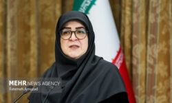 مهاجرانی: دولت یک برنامه اضطراری برای مدیریت اقتصاد طراحی کرد