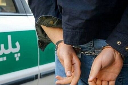 مهدی عربلو، جراح زیبایی قلابی دستگیر شد + تصویر و جزئیات پرونده