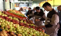 میادین میوه و تره‌بار تهران فردا چهارشنبه ۱۰ دی ۱۴۰۴ تعطیل شد؟