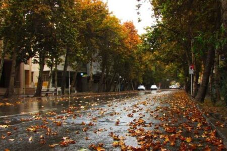 نام یک بازیگر زن مشهور بر خیابانی در تهران+ عکس