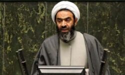 نقدعلی: ارز به کالاهای اساسی و نهاده‌های دامی تخصیص نمی‌یابد