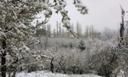 هشدار کاهش ۱۵ درجه‌ای دما در ۲۲ استان با نفوذ توده هوای سرد از فردا