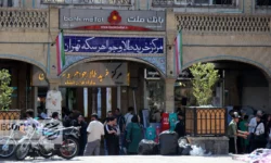 هم‌زمانی پیش‌فروش و حراج؛ راهبرد بانک مرکزی برای آرامش قیمت‌ها