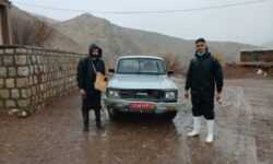 واکسیناسیون دام‌ها در هرسین برای مقابله با تب برفکی