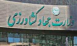 وزارت جهاد کشاورزی ریختن برنج به دریا را تکذیب کرد