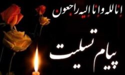 وزارت علوم شهادت دانشجوی دانشگاه پیام نور را تسلیت گفت