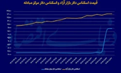 چرا با وجود توقف افزایش دلار، قیمت سکه بالا رفت؟