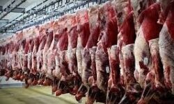 کاهش 7 درصدی عرضه گوشت قرمز در آبان