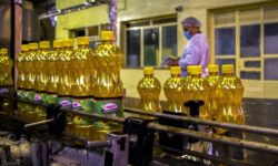 کمبود روغن در بازار؛گران فروشی از سوی کارخانجات