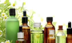 گسترش همکاری‌های ایران و هند در صنعت پزشکی و داروهای گیاهی