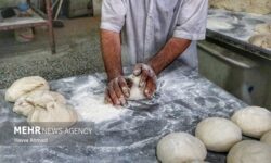 گندمِ ممتاز، نانِ نامرغوب؛ معمای حل نشده سفره ایلام
