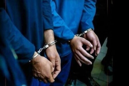 ۳۲ متهم تحت تعقیب در فلاورجان دستگیر شدند