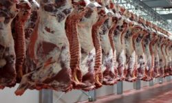 ۹۰ درصد گوشت قرمز از داخل تأمین می‌شود