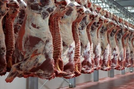 ۹۰ درصد گوشت قرمز از داخل تأمین می‌شود