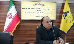 ۹۳ درصد مشترکان گاز خراسان جنوبی کم‌مصرف هستند؛ اصلاح قبوض پر مصرف