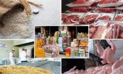 5میلیون تن کالای اساسی در راه بازار