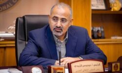 برنامه‌ریزی عناصر وابسته به امارات برای تشکیل «یمن جنوبی»