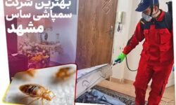 بهترین شرکت سمپاشی ساس مشهد [ بدون تخلیه با ضمانت کتبی ]