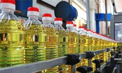 ترخیص کالا‌های اساسی از گمرکات کشور/ واردات روغن ۴۷ درصد رشد کرد