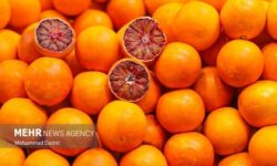 تشدید نظارت قضایی برای آرامش بازار ایلام