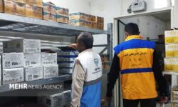 جمع‌آوری بیش از ۴۶۰ کیلوگرم مرغ تاریخ‌گذشته از مراکز پخش زاهدان