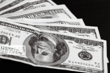 دلار تک نرخی می شود؟/ پاسخ وزیر اقتصاد